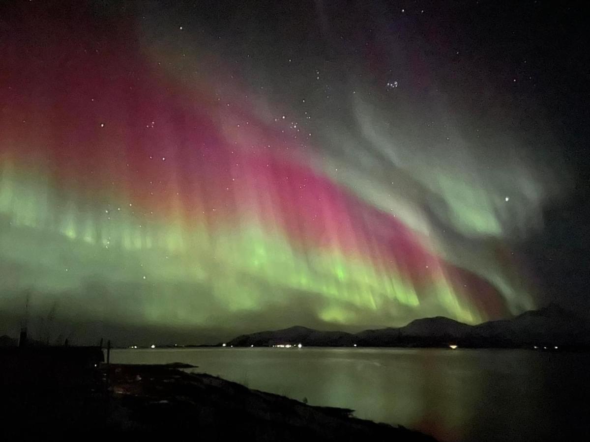 1. Etg I Dampskipsbrygga, Lodingen Havn Bagian luar foto