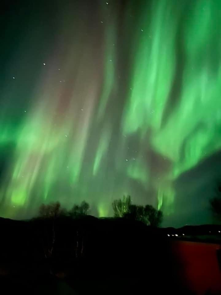 1. Etg I Dampskipsbrygga, Lodingen Havn Bagian luar foto