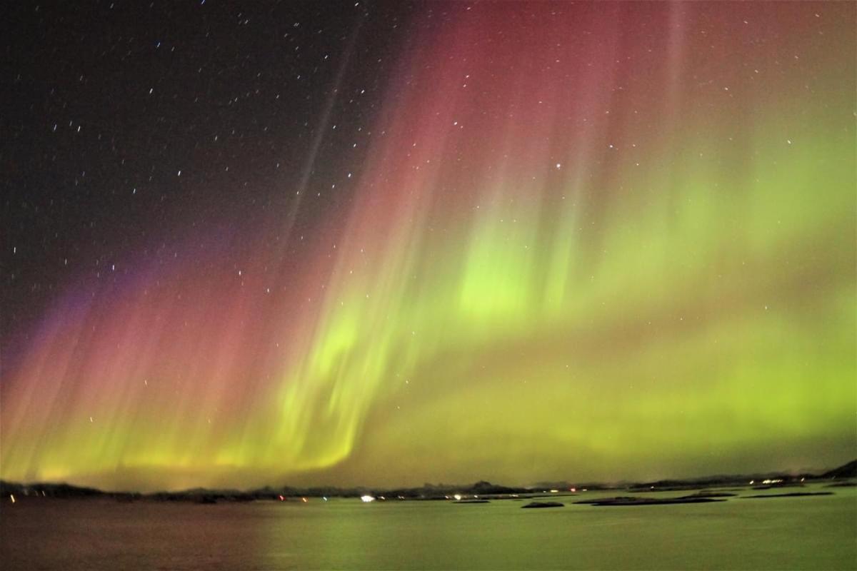 1. Etg I Dampskipsbrygga, Lodingen Havn Bagian luar foto